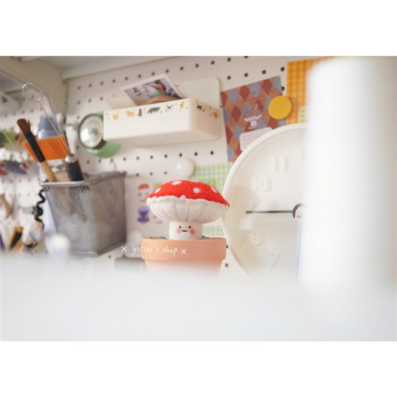 油菜菜的杂货铺z|短腿菇专用花盆,淘宝优惠券,粉丝福利购,淘宝优惠卷