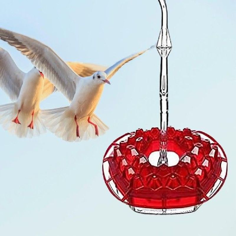 速发Portable Good Pet Feeding Water Container Bird Water - 图2