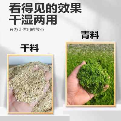 殖草打浆机玉米j粉碎碎鸡养牧小型家用青草秸秆粉机机切草机碎草 - 图0