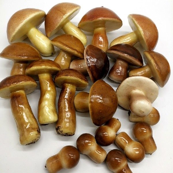 20pMs Aruificial Mtsshroom could Mold 5 Types Mushroom - 图0