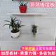 Hardware tool rack hanger laminate display rack hole hanging board F tool storage Q material sorting rack tool wall hanging