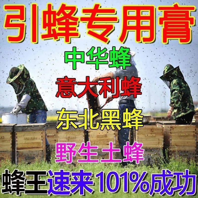 现货速发【八百里来蜂】诱蜂膏蜜蜂中蜂王专用神奇招蜂水蜂农引蜂 - 图3