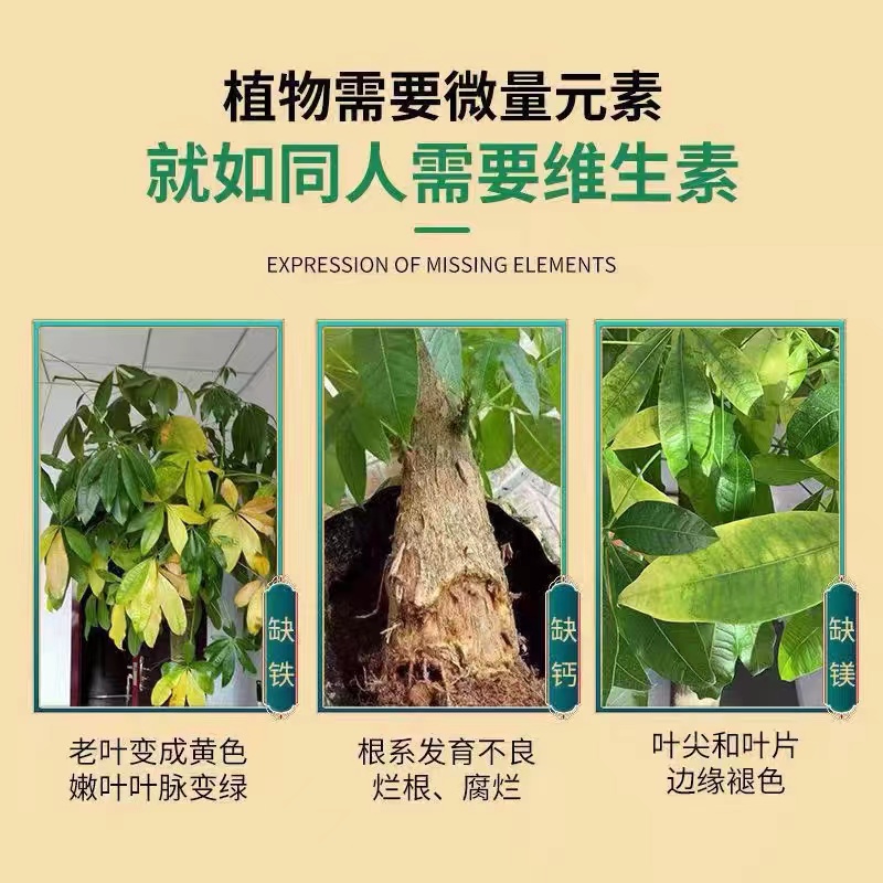 大树成活营养液枯树复活生根液植物营养液枯树花草烂根烂苗复活剂 - 图0