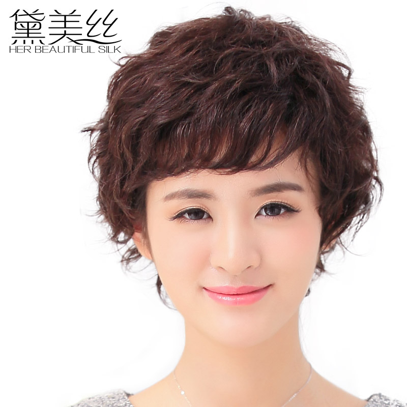 Buy Dai Meisi Middle Aged Female Short Hair Wigs Short Curly Hair