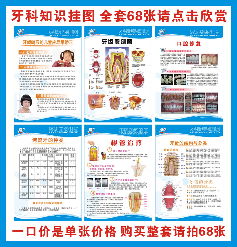 Dental Flip Chart