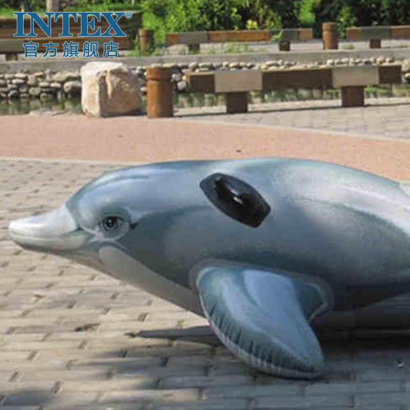 intex dolphin