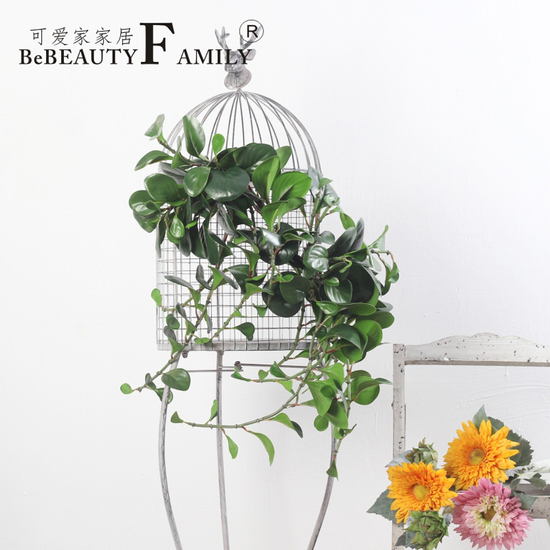 Buy Lovely home contadino douban.com green radish leaves the