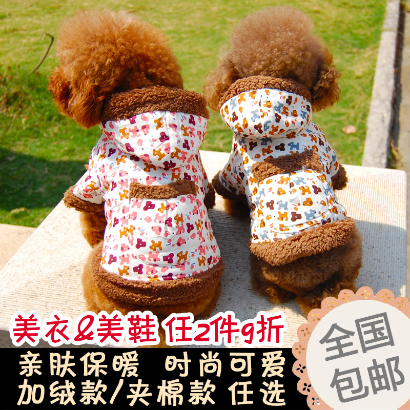 Buy Pet shop puppy pet dog beauty landscaping
