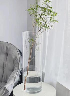 桌面收纳盒花瓶摆件客厅插花透明玻璃瓶水养马醉木富贵竹专用宽口