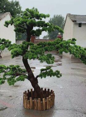 松树仿真道具树装饰植物仿真松树摆放装饰品仿真树松树装饰假树