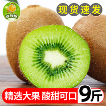 Shaanxi Week to Green Heart Kiwifruit Fresh 10 Big fruits When the whole box of fruit catty pregnant women make kiwifruit