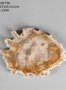 寓石林木化石片原石杯垫新中式茶桌艺术装饰桌面托盘天然摆件收纳