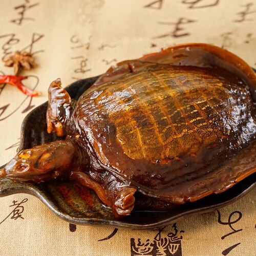 九星外塘麻辣五香鲜活现做小规格卤甲鱼王八水产即食海鲜熟食包邮 - 图2