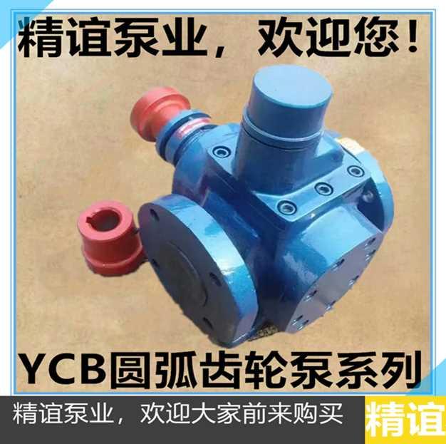 新品0包邮圆弧齿轮油泵YCB066 润滑 泵增Q压泵燃油泵 齿轮 泵 - 图0