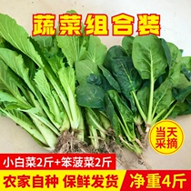 (Shunfeng) Fresh vegetables combined spinach 2 kilos of cabbage 2 catty of spinach for small green vegetable farm of origin