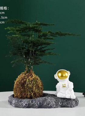 创意微景观摆件家居饰品茶台茶桌装饰品文竹盆栽盆景小摆设禅意新
