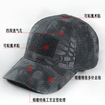Guilder frogs with the same style hat special soldier tactics for training hat domed dome breathable baseball cap Outdoor Army fan duck tongue cap