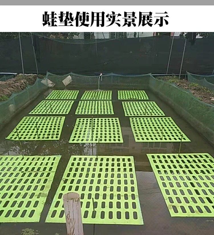 牛蛙垫蛙垫牛蛙食台EVA环保蛙垫环保蛙垫浮力超强牛蛙养殖包邮 - 图2