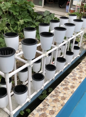 大容量兰花种植机水培潮汐鱼菜共生系统恐龙蛋花盆花架虹吸可定制