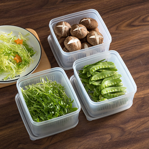 日本进口蔬菜保鲜盒豆腐专用冰箱收纳盒葱姜蒜沥水神器厨房备菜盒 - 图2