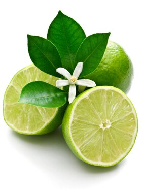 多特瑞莱姆精油Lime单方精油