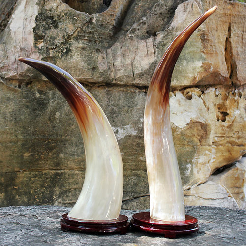 天然牦牛角摆件运势客厅书房玄关办公室招财家居装饰品送开业礼品 - 图0