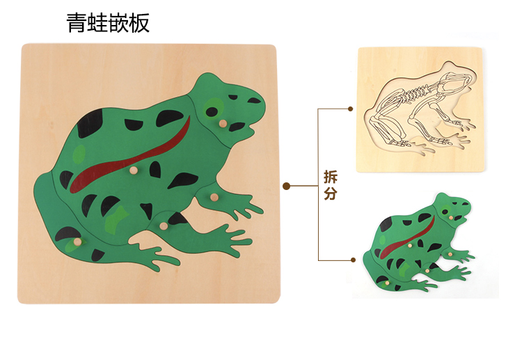 蒙氏木质动物植物嵌板拼图拼板手抓板木制早教儿童益智玩具教具 - 图1