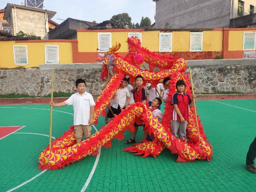 Детский драконский дракон на начальной школе Dragon Dance 7-14-летний качество дракона-хорошее качество