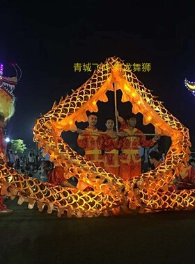 舞龙道具灯光龙烫金龙