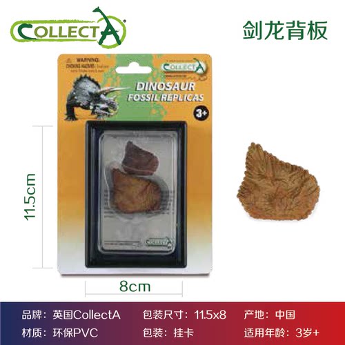 CollectA恐龙牙齿利爪化石霸王龙三角龙模型玩具教具科普标本收藏 - 图2