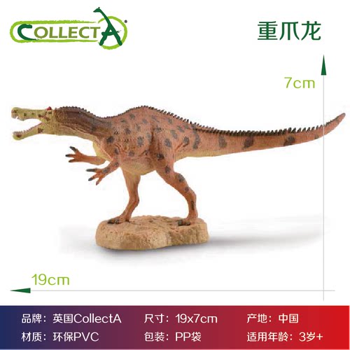 CollectA我你他恐龙史前生物玩具模型重爪龙梁龙巴加达龙巨齿鲨 - 图1