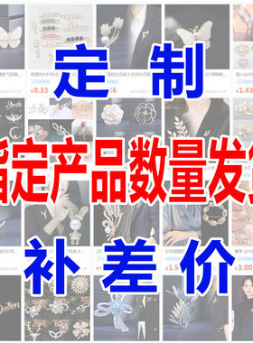 高级感轻奢胸针饰品指定款情侣款