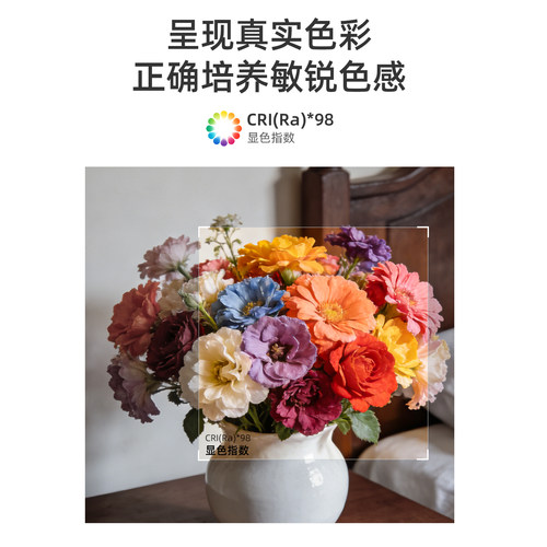 普瑞芯片led灯带98显全光谱高亮低压24V自粘无频闪室内家用灯条线 - 图2