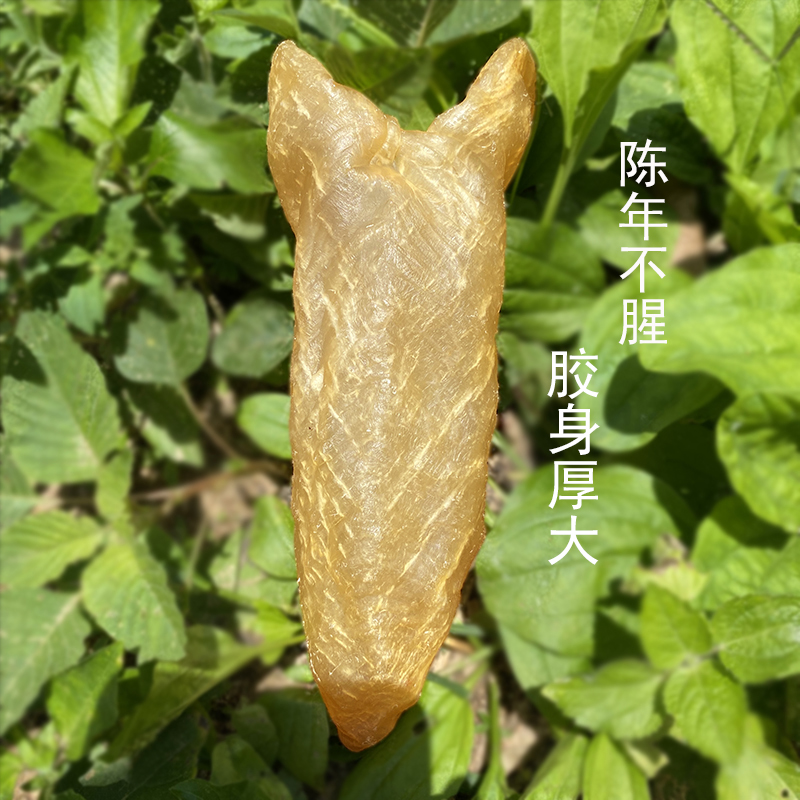 特大黄花胶深海鱼胶干货正品鱼泡天然鱼肚孕妇产妇滋补500g4—5头 - 图2