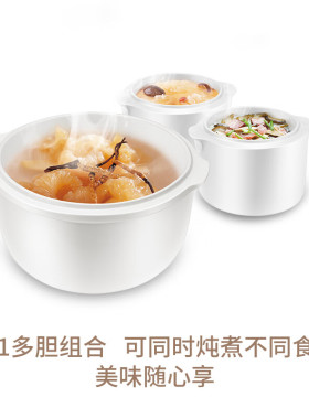天际隔水陶瓷炖盅燕窝一锅三胆