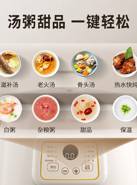 天际紫砂电炖锅养生煮粥煲汤砂锅