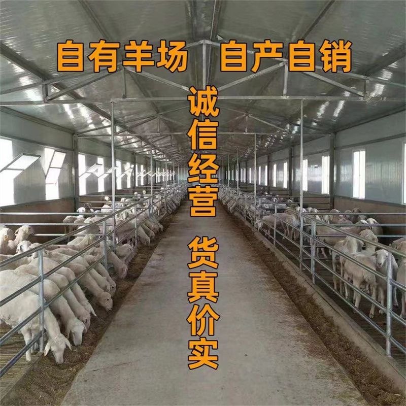 纯羊粪发酵有机肥花卉瓜果盆栽通用肥植物农用肥纯羊粪蛋蛋,淘宝优惠券,粉丝福利购,淘宝优惠卷