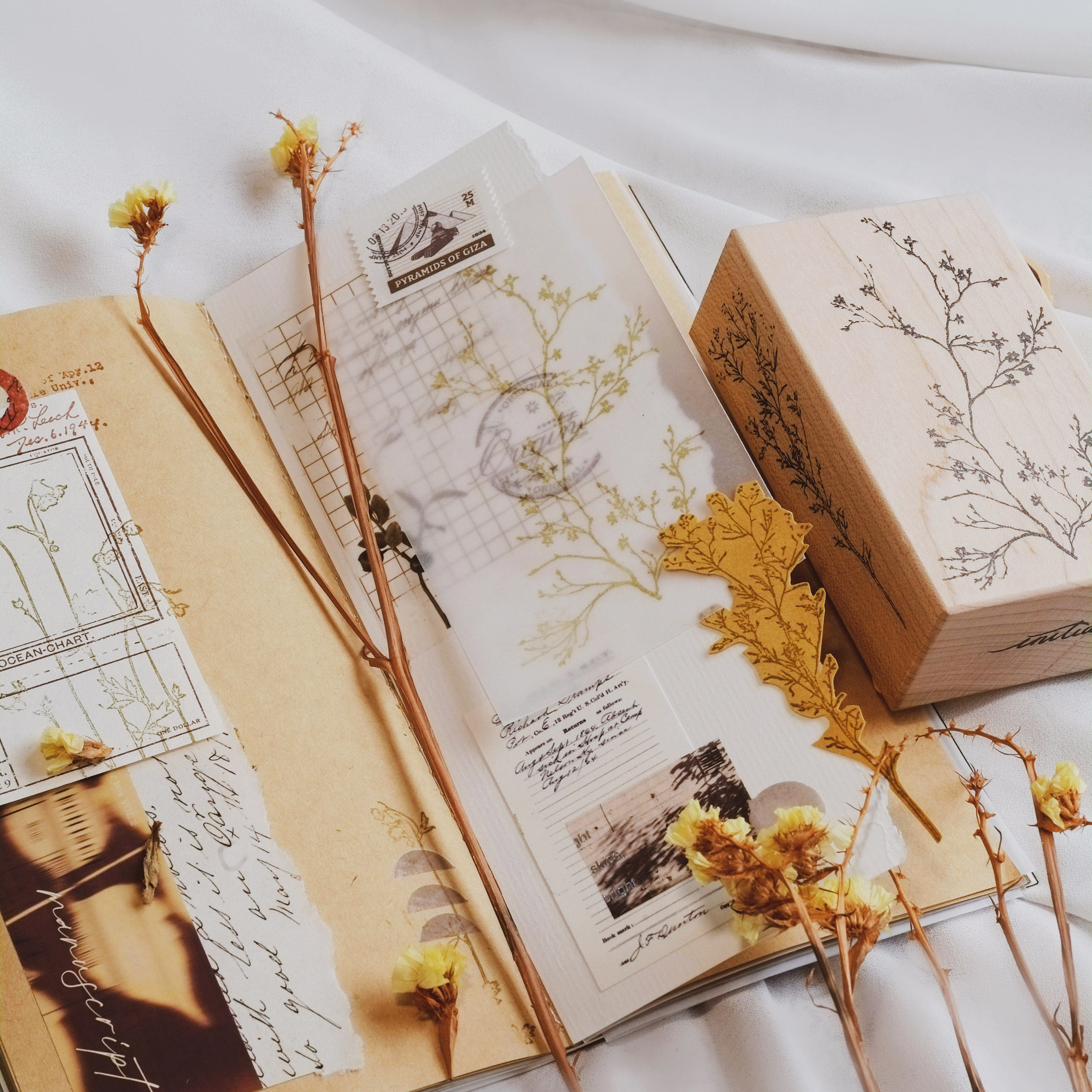 【丛生砖砖】台产2in1枫木印章 in1制物原创复古手帐植物造景扩香,淘宝优惠券,粉丝福利购,淘宝优惠卷