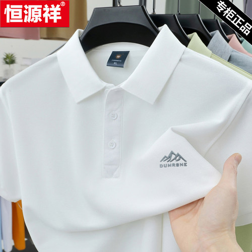 恒源祥夏季男士冰丝短袖t恤新款纯色半袖POLO衫潮流宽松翻领上衣T - 图0