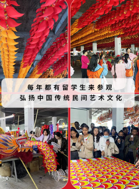 舞龙道具竞技专业演出优质密度