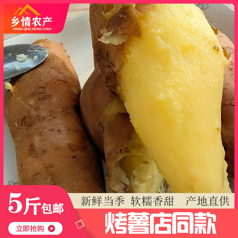 榆林香蕉薯榆林黄皮黄心白心红薯绥德当季大果富硒新鲜掏菜菜5斤