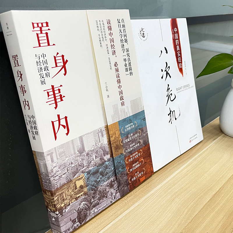 【2册】置身事内 兰小欢+八次危机温铁军 置身事内中国政府与经济发展 温铁军八次危机中国的真实经验 中国经济概况发展历史新趋势 - 图0