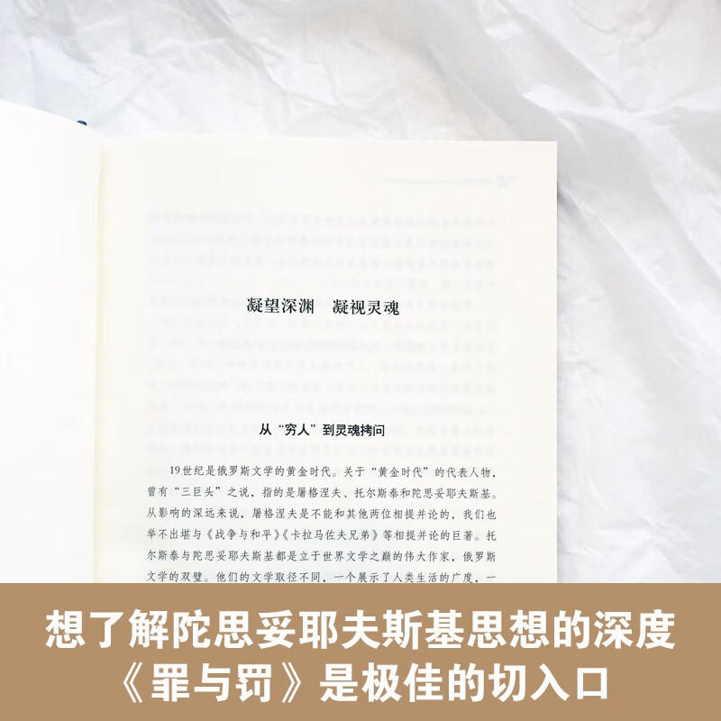 罪与罚 陀思妥耶夫斯基 世界名著外国经典小说汝龙描写穷大学生受无政府主义思想毒害俄国下层人民的苦难生活正版书籍译林出版社