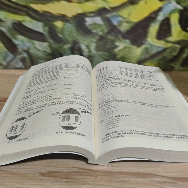 操作系统概念 原书第10版 操作系统领域书籍 面向操作系统导论课程 计算机操作系统导论 计算机进程管理内存管理存储管理 正版书籍,淘宝优惠券,粉丝福利购,淘宝优惠卷