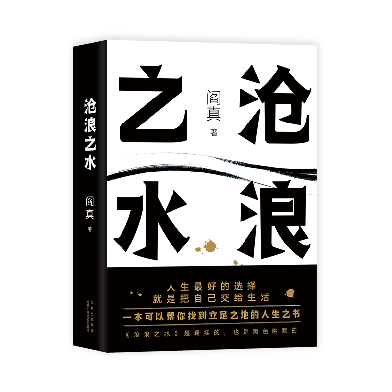 【正版包邮】沧浪之水 阎真 经典官场小说 现当代小说 阎真 活着之上 岁月 正版书籍 新华书店旗舰店 短篇长篇小说畅销书籍排行榜 - 图3