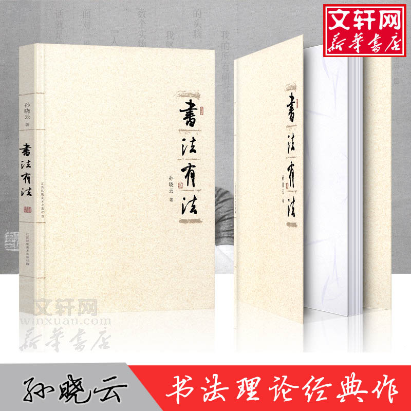 【官方正版】书法有法 孙晓云著 中国书协主席孙晓云书法理论作品 中国传世书法技法 书法名家名品经典书法文化大观分析与训练典籍 - 图0