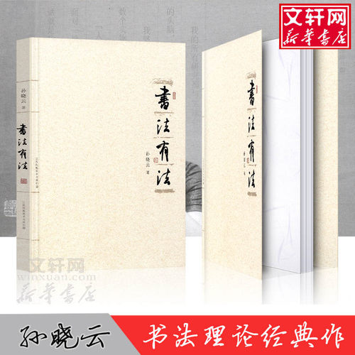 【官方正版】书法有法 孙晓云著 中国书协主席孙晓云书法理论作品 中国传世书法技法 书法名家名品经典书法文化大观分析与训练典籍 - 图0