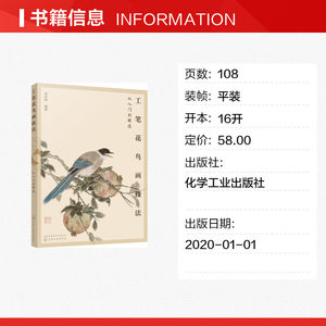 【新华文轩】工笔花鸟画技法从入门到精通 范新国 正版书籍 新华书店旗舰店文轩官网 化学工业出版社