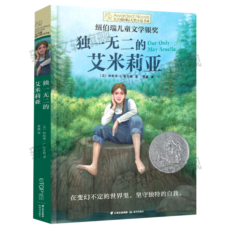 独一无二的艾米莉亚 长青藤国际大奖小说书系第13辑青少年小学生三四五六年级课外阅读外国儿童文学成长故事书畅销书常青藤正版书 - 图3