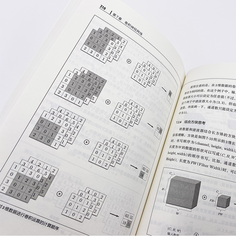 深度学习入门 基于Python的理论与实现 AI人工智能入门教程书  Python深度学习神经网络编程机器学习实战 deep learning书籍 鱼书 - 图2